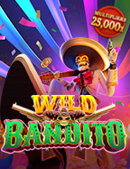 Wild Bandito